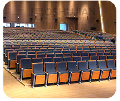 Η πτυσσόμενη αίθουσα κινηματογράφων 2 Seater προεδρεύει της αντι ηλεκτροστατικής μέσης σκληρότητας